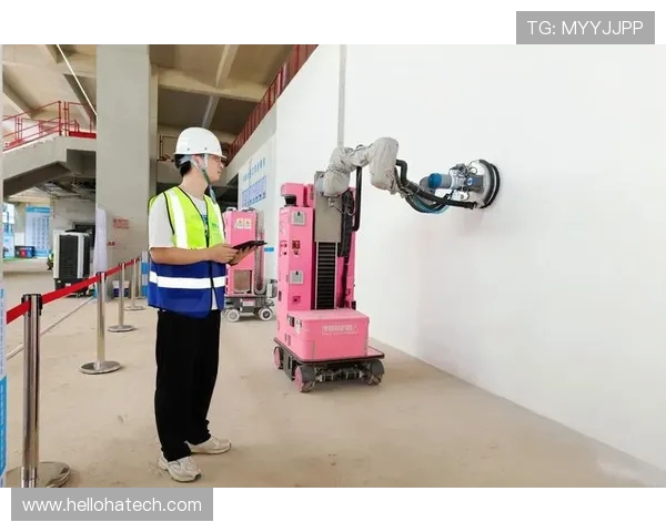 成都极限运动队的转型之路与未来发展趋势探讨